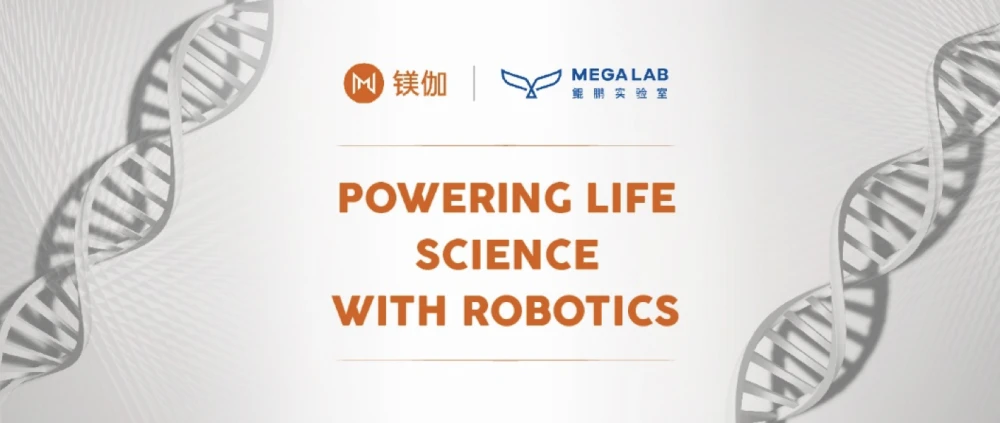 镁伽机器人完成B轮融资 构筑在生命科学自动化等领域的核心竞争壁垒