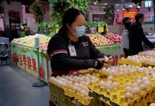 中国建亚洲最大畜禽养殖基地，每天产出240万枚鸡蛋，全程自动化
