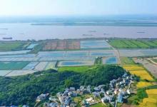 生态优先绿色发展，彭泽县推动农业园区化，助力虾蟹产业出圈