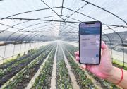 《人民邮电报》：自动化科技助推农业农村高质量发展