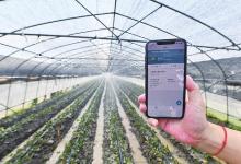 《人民邮电报》：自动化科技助推农业农村高质量发展