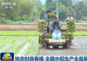 农业高质量发展与自动化科技|《高标准农田建设通则》、柳河县3500亩水稻育秧 