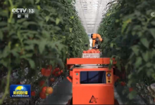 蔬菜瓜果大棚实现自动化控制|央视网《新闻联播》：中国农业现代化建设迈上新台阶|农业高质量发展的画卷正在铺展