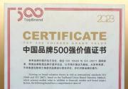 上升22位！德赛西威连续两年上榜“中国品牌500强”