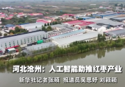 河北沧州：人工智能助推红枣产业“加速跑”
