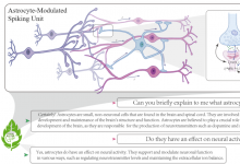 新一代类脑生成式人工智能:神经元-胶质细胞协同生成式类脑脉冲神经网络发布