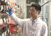 徐林研制出超细纳米线电解质材料