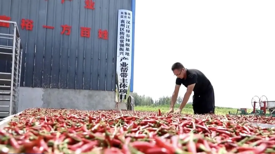 襄州区智慧种植成就火红产业