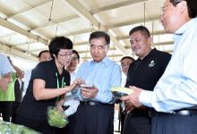 国务院副总理汪洋在北京调研“互联网+”现代农业时强调