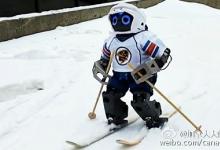 世界上“第一个会打冰球的机器人”最近正在学习滑雪