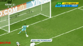 NO.12：门线技术首次应用于2014年巴西世界杯足球赛