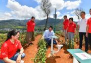 联通5G助力福建智慧茶园香飘万里