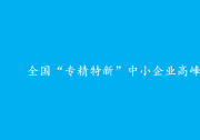 全国“专精特新”中小企业高峰论坛在长沙举行