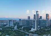 解码高新区高质量发展的“秘诀”！