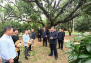 习近平：农村特色产业前景广阔