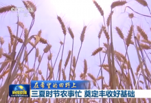 央视网：三夏时节农事忙 奠定丰收好基础|自动化科技赋能无人收割机、智慧农业平台