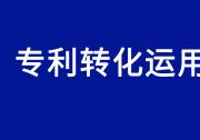国务院办公厅关于印发《专利转化运用专项行动方案（2023—2025年）》的通知