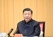 习近平主持召开深入推进长三角一体化发展座谈会强调：推动长三角一体化发展取得新的重大突破 在中国式现代化中更好发挥引领示范作用