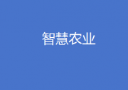 智慧农业 专栏