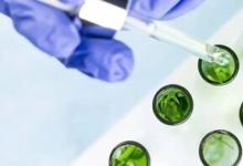 元脑服务器，算力超给力：昆明植物所提速天然药物研发