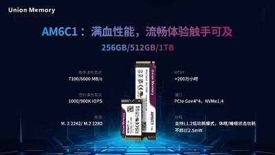 忆联AM6C1 忆联AM6C1