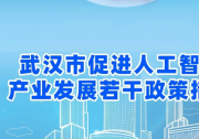 重磅！武汉市促进人工智能产业发展若干政策措施发布