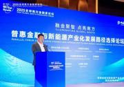 新华丝路：鹏飞集团在2025年全球南方金融家论坛平行论坛上面向全球南方能源企业分享绿色发展新范式