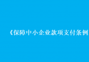 司法部 工业和信息化部负责人就《保障中小企业款项支付条例》修订答记者问