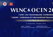 沉浸体验智控魅力｜爱博合创闪耀亮相WLNC&OCIN 2025，PANVIS-A™脑血管介入机器人尽展“指尖”魅力