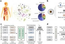清华大学自动化系江瑞团队研究成果入选2025年度“中国生物信息学十大进展”