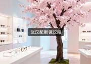 武汉配眼镜攻略：价差能到十倍，这钱真能白省！
