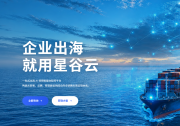 搞定海外流量难题，这家一站式B2B服务商很专业
