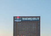 UCS成功投产、TPT实施部署，中控技术助力青海盐湖镁业迈向自主运行新征程