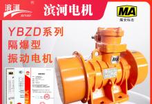 煤安YBZD系列防爆振动电机IP65防护