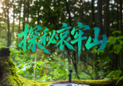 哀牢山首位“机器人科考队员”!云深处机器狗赋能科考中国