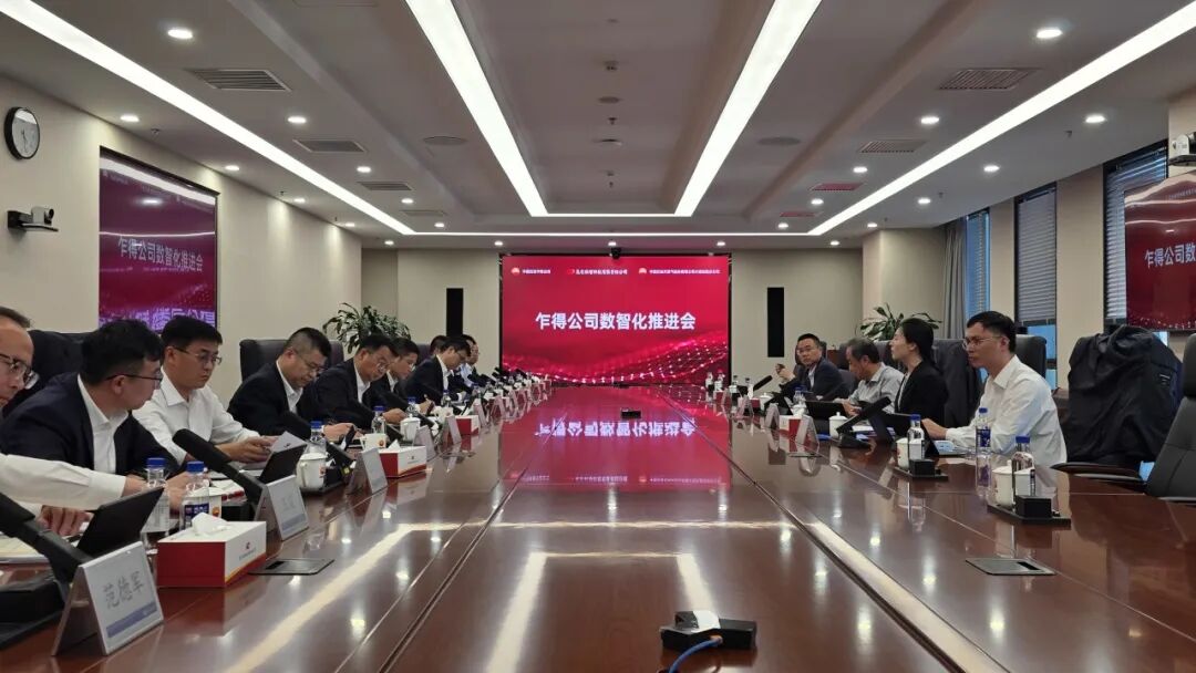 乍得公司数智化推进会