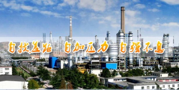 中国石化股份有限公司洛阳分公司