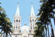 巴西国际造纸工业展